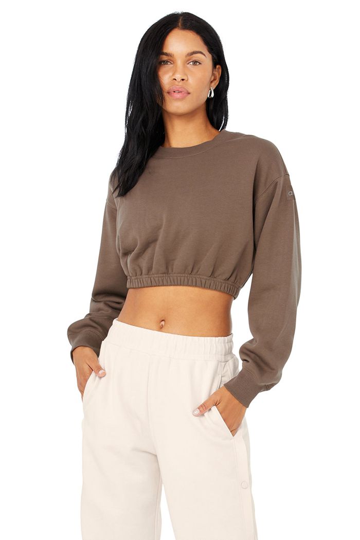 Brown Alo Yoga Devotion Crew Neck Women's Pullover | 15632GIRV