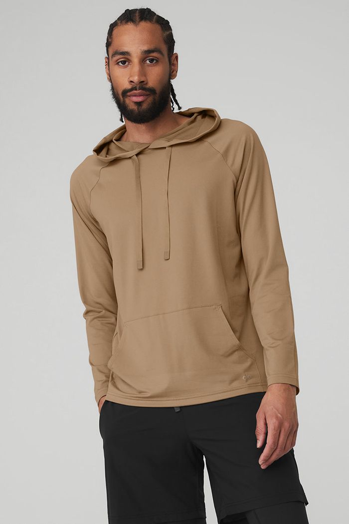 Brown Alo Yoga The Conquer Men's Hoodie | 28916RFAE