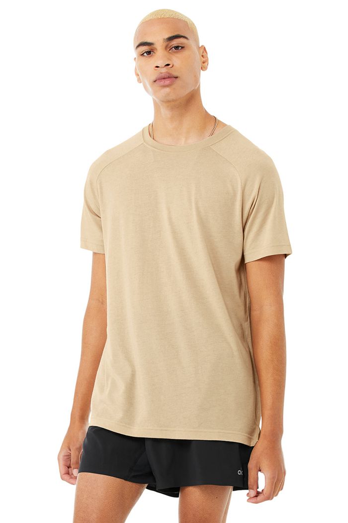 Brown Alo Yoga The Triumph Crew Neck Tee Men's Short Sleeve | 62148OGCP