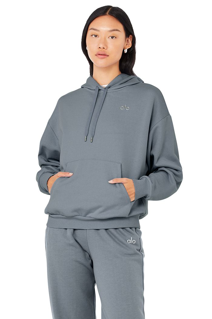 Grey Alo Yoga Accolade Women's Hoodie | 25147JOLI