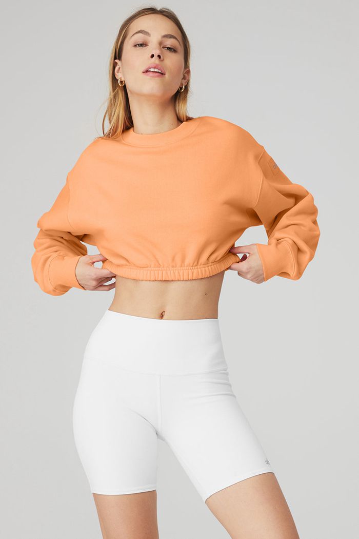 Orange Alo Yoga Devotion Crew Neck Women's Pullover | 17058IXNO