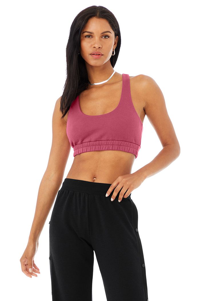 Purple Alo Yoga Scoop Neck Sweatshirt Women's Bras | 73845TIEZ