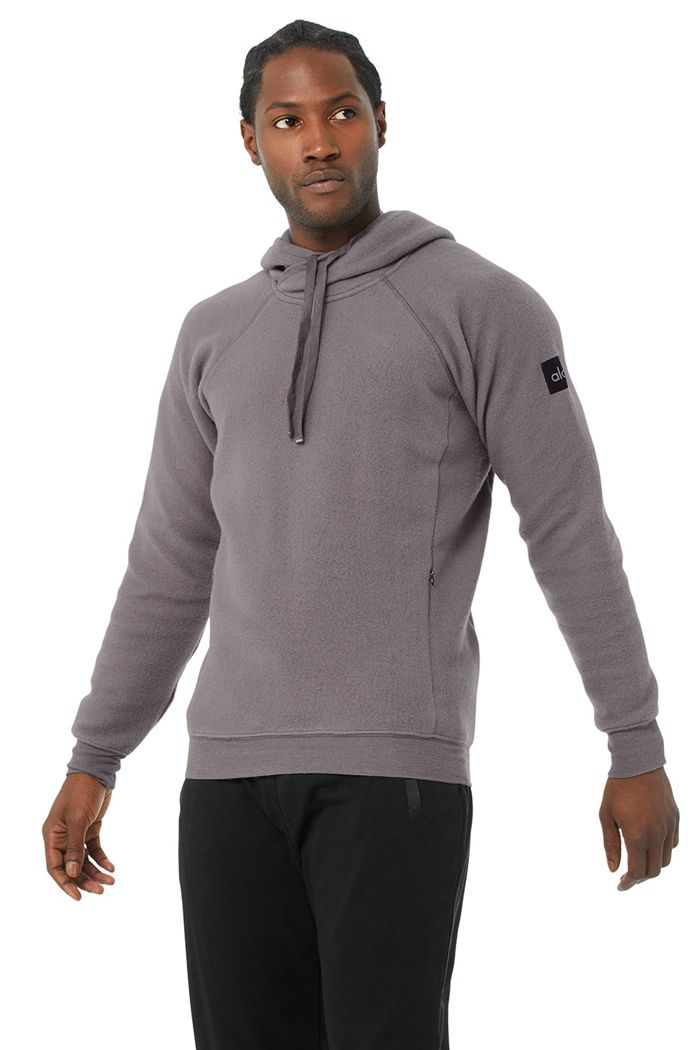 Purple Alo Yoga The Triumph Men's Hoodie | 01527XAMU