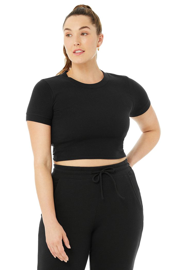 Black Alo Yoga Micro Waffle Sierra Women's Short Sleeve | 83490DLPK