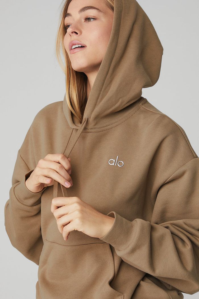 Brown Alo Yoga Accolade Women's Hoodie | 02734HJWB