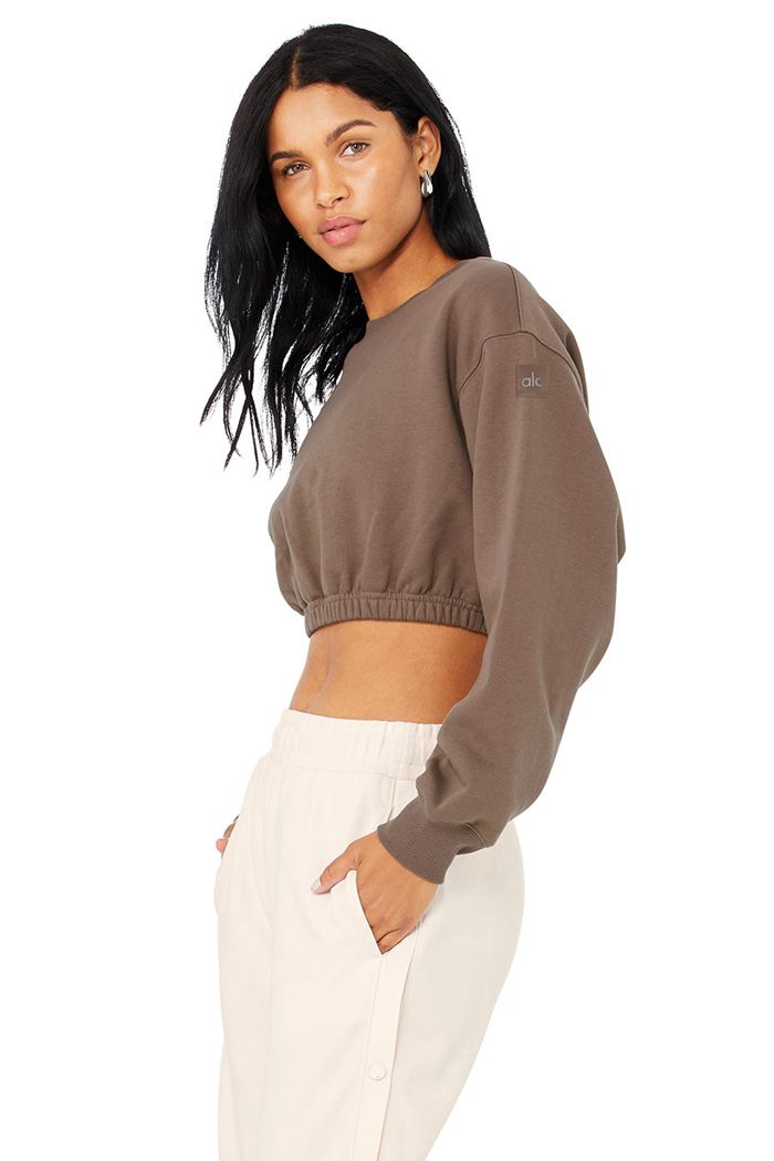 Brown Alo Yoga Devotion Crew Neck Women's Pullover | 15632GIRV