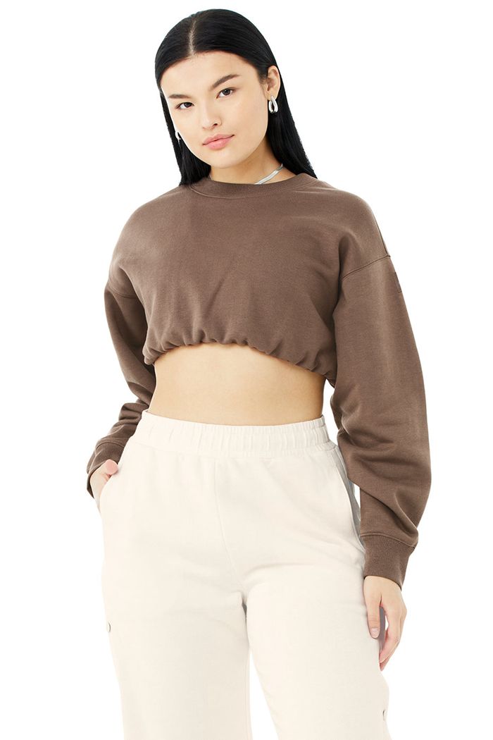 Brown Alo Yoga Devotion Crew Neck Women's Pullover | 15632GIRV