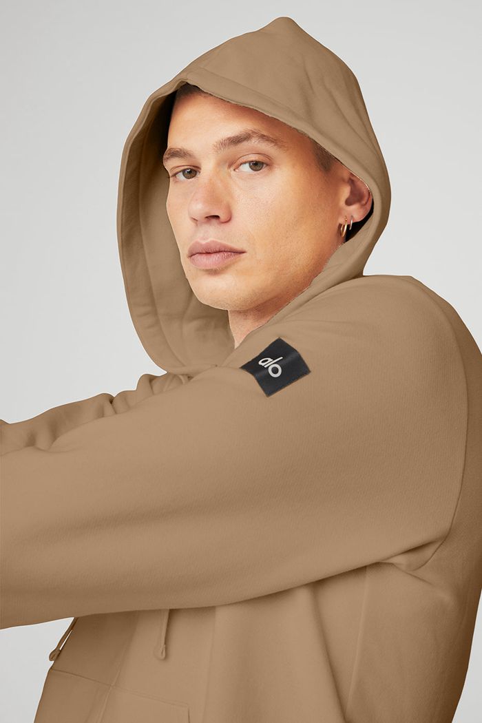 Brown Alo Yoga Everyday Full Zip Men's Hoodie | 28073HGEA