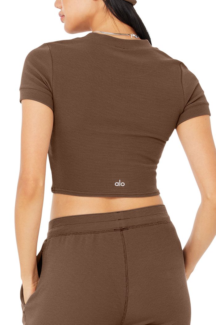 Brown Alo Yoga Micro Waffle Sierra Women's Short Sleeve | 12370QSCD