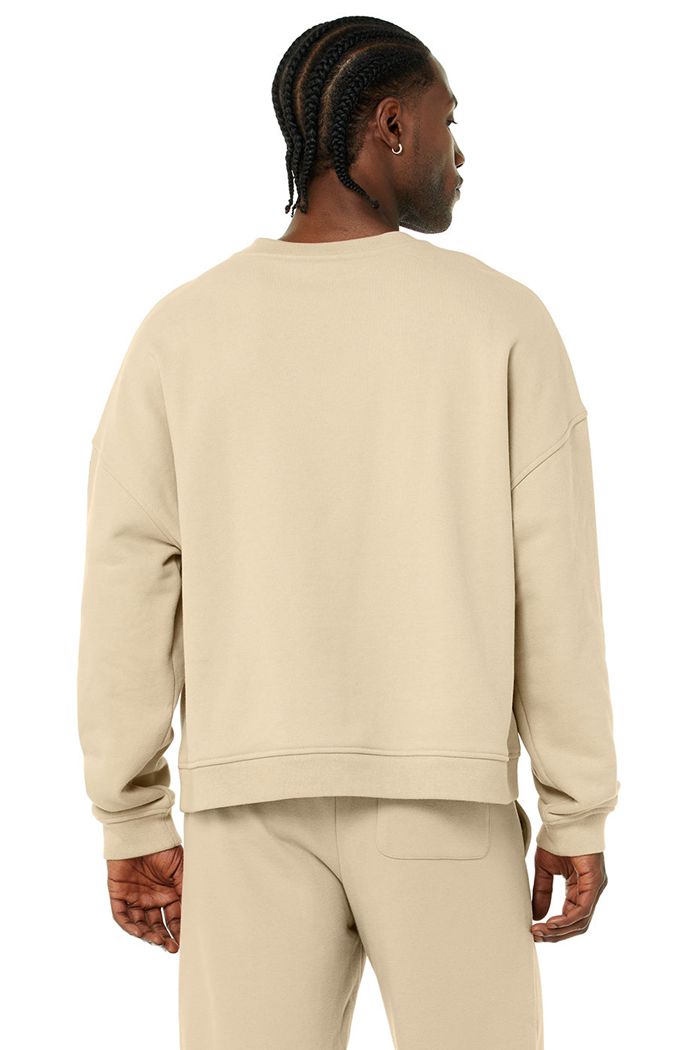 Brown Alo Yoga Renown Crew Neck Men's Pullover | 96038BXMW