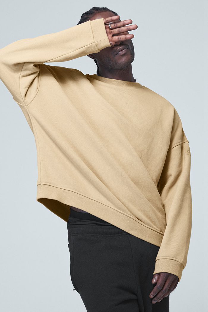 Brown Alo Yoga Renown Crew Neck Men's Pullover | 96038BXMW