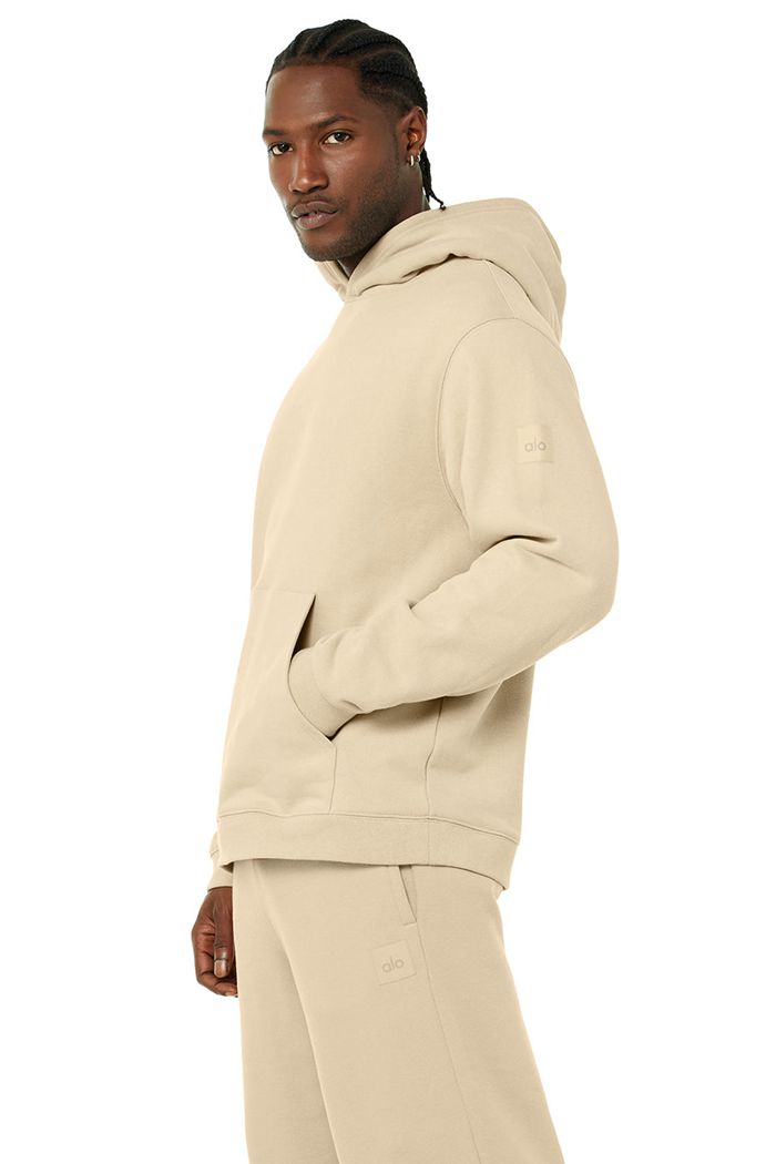 Brown Alo Yoga Renown Men's Hoodie | 12548MJYT