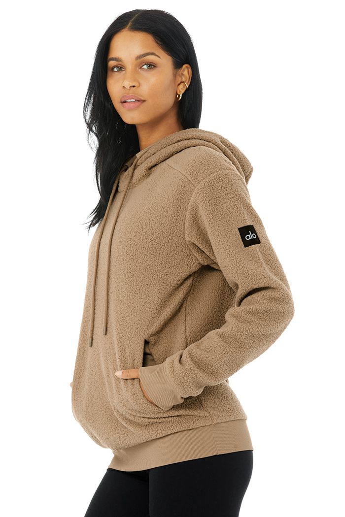 Brown Alo Yoga Sherpa Men's Hoodie | 52769NOJR