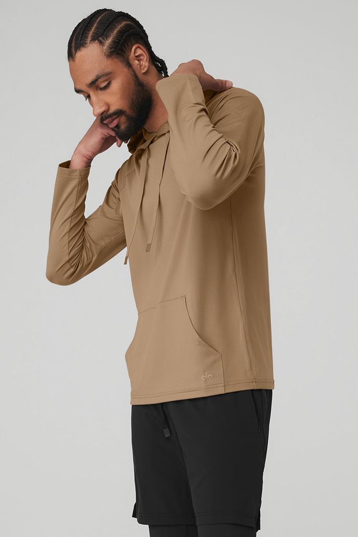 Brown Alo Yoga The Conquer Men's Hoodie | 28916RFAE