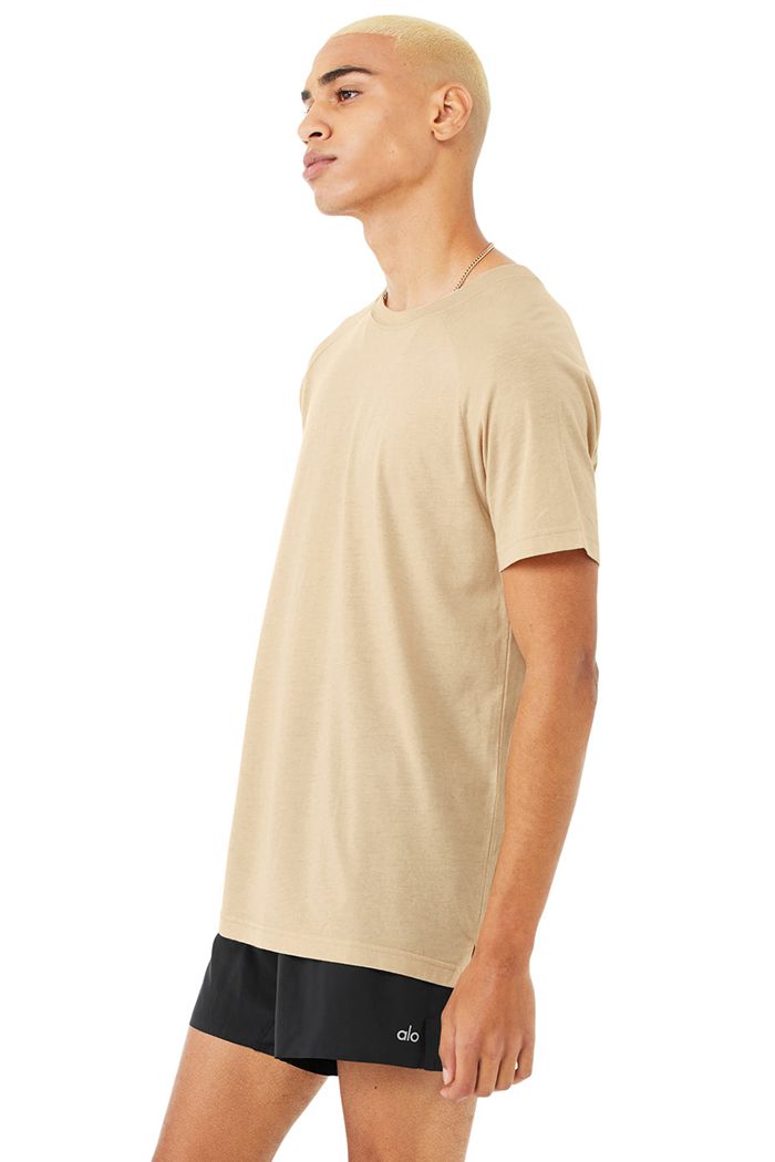 Brown Alo Yoga The Triumph Crew Neck Tee Men's Short Sleeve | 62148OGCP