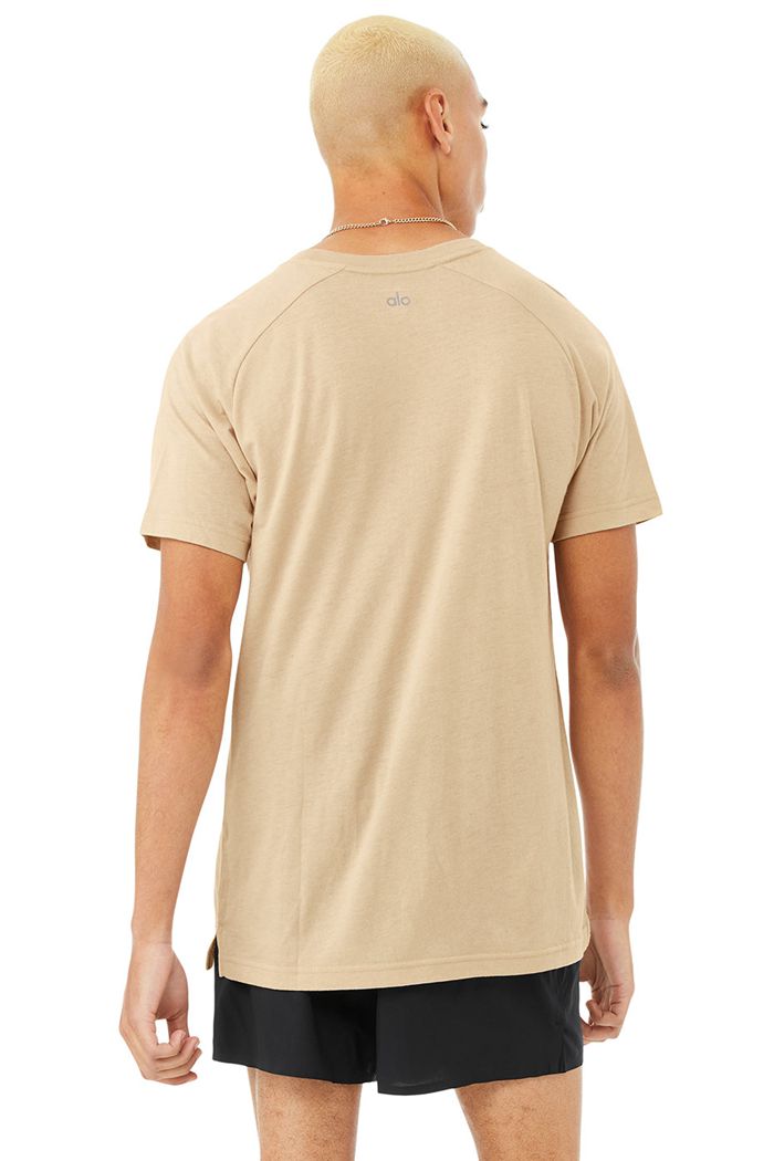 Brown Alo Yoga The Triumph Crew Neck Tee Men's Short Sleeve | 62148OGCP