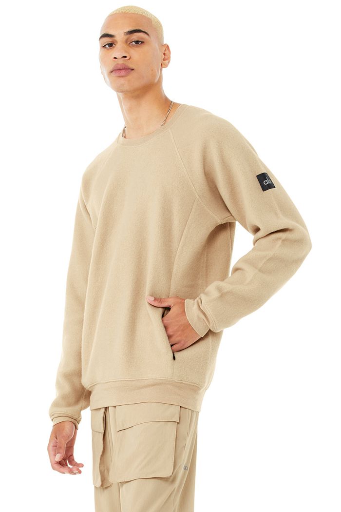 Brown Alo Yoga Triumph Crew Neck Sweatshirt Men's Long Sleeve | 49027DZAF