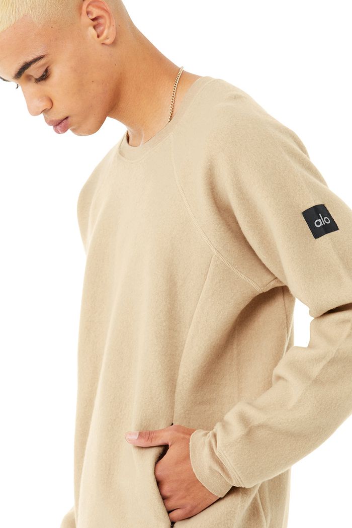 Brown Alo Yoga Triumph Crew Neck Sweatshirt Men's Long Sleeve | 49027DZAF