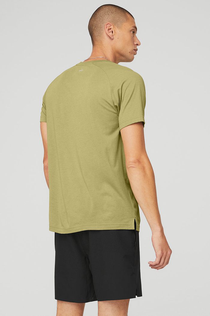 Green Alo Yoga The Triumph Crew Neck Tee Men's Short Sleeve | 41820DRXM