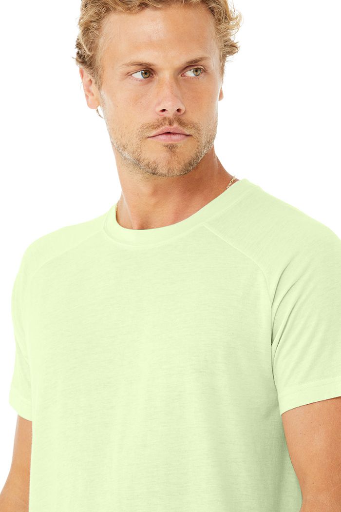 Green Alo Yoga The Triumph Crew Neck Tee Men's Short Sleeve | 83740FPQH