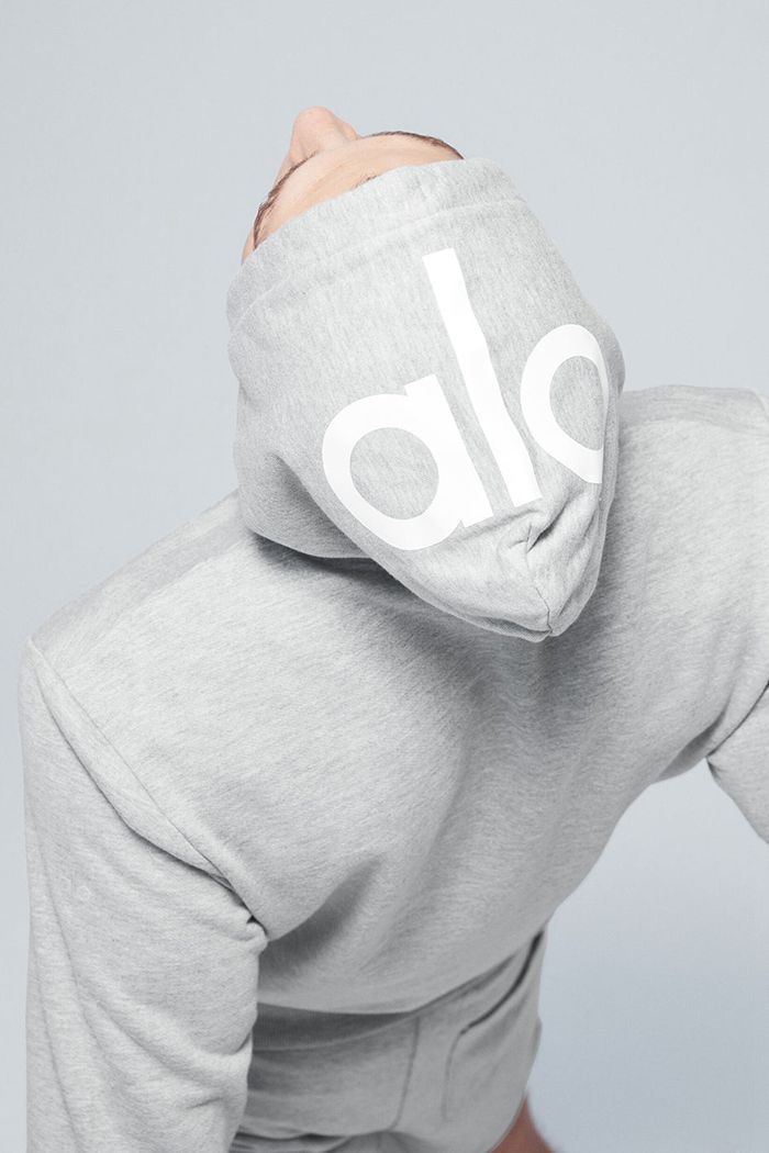 Grey Alo Yoga Caliber Men's Hoodie | 12836YMAN