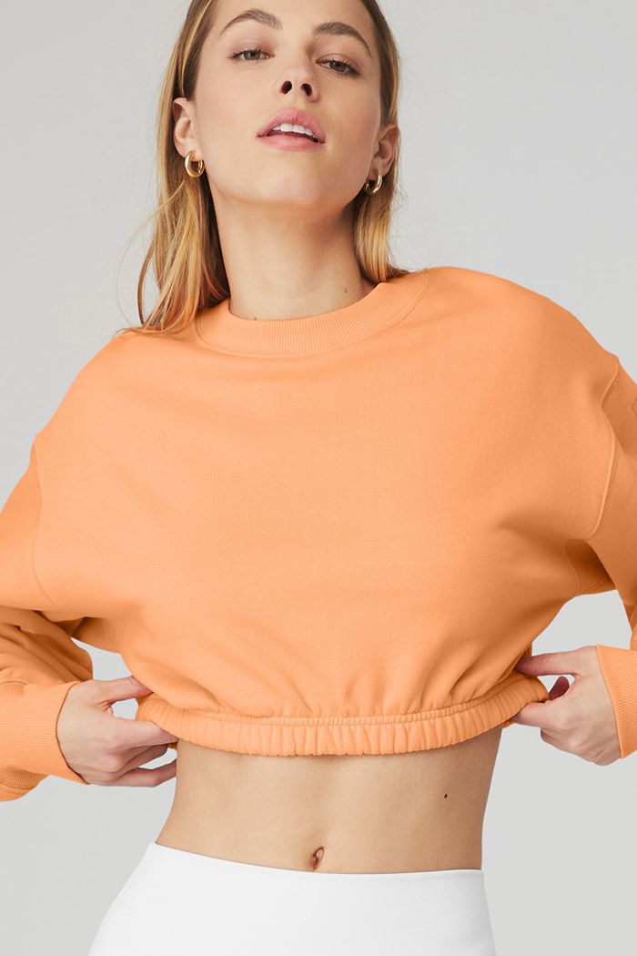 Orange Alo Yoga Devotion Crew Neck Women's Pullover | 17058IXNO