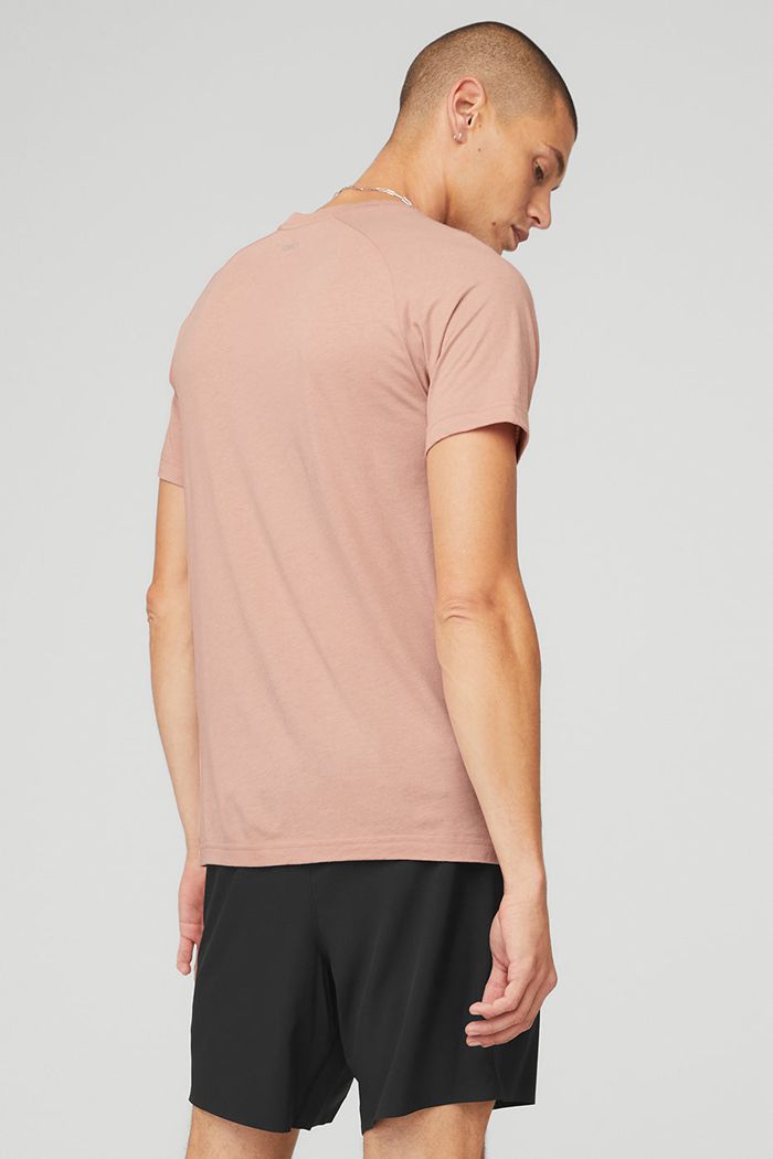 Pink Alo Yoga The Triumph Crew Neck Tee Men's Short Sleeve | 59804ZBQE