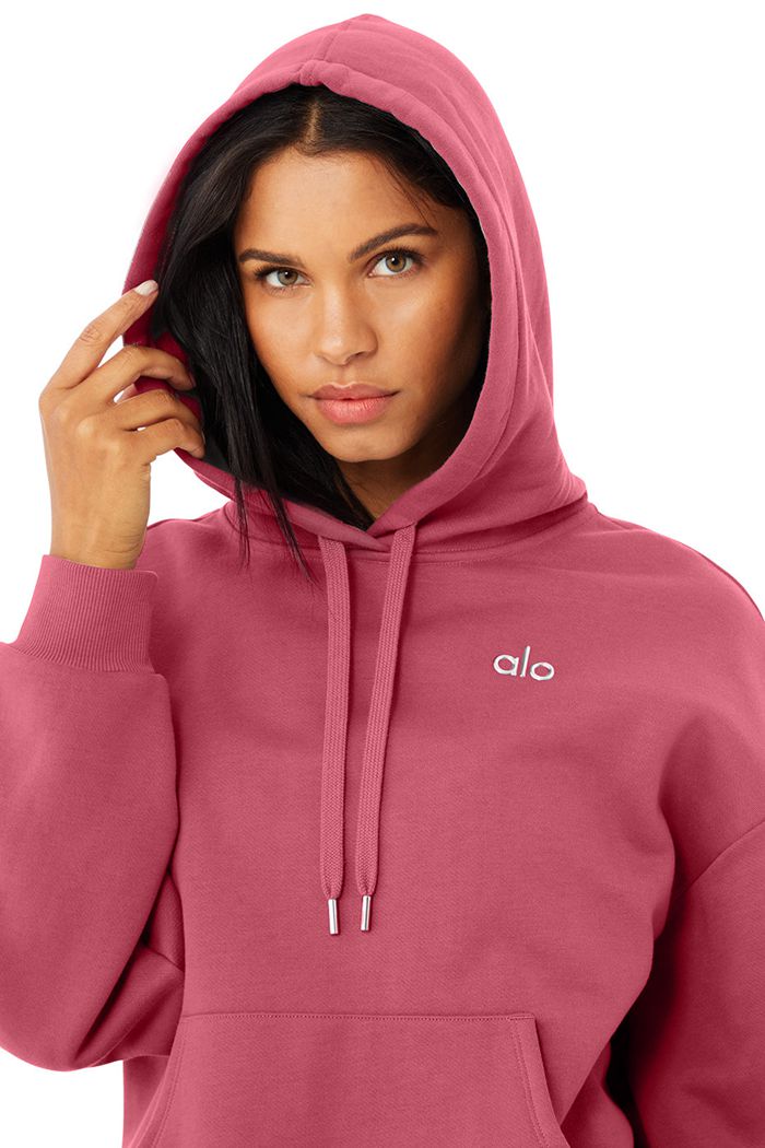 Purple Alo Yoga Accolade Women's Hoodie | 23547LVBT