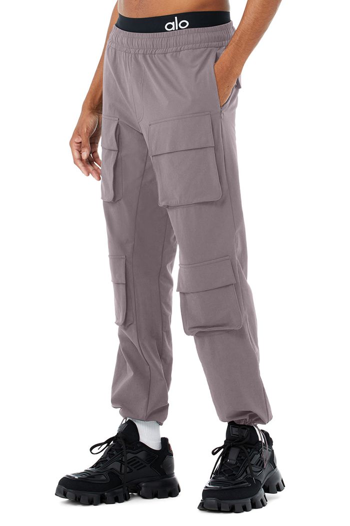 Purple Alo Yoga Cargo Venture Men's Pants | 62945XEOI