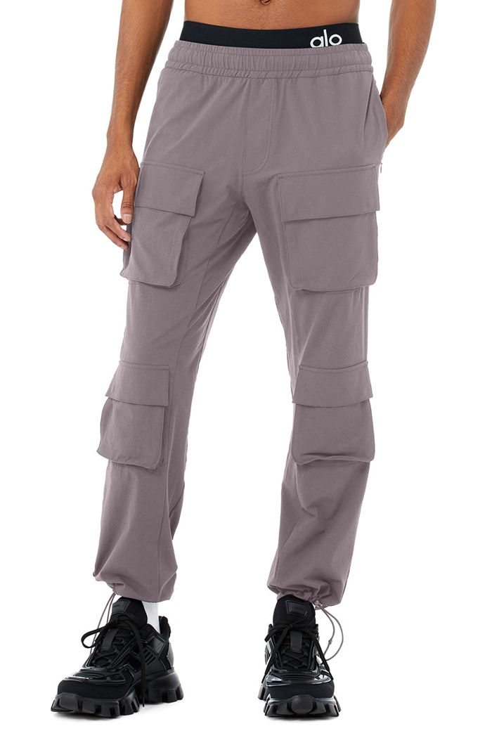 Purple Alo Yoga Cargo Venture Men\'s Pants | 62945XEOI