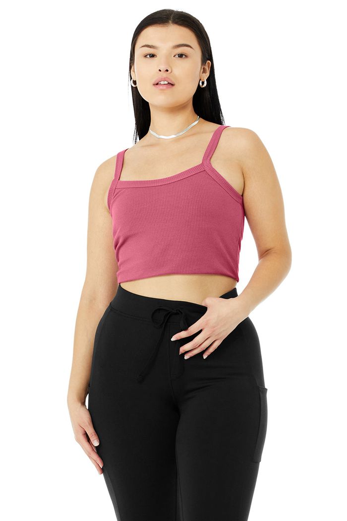 Purple Alo Yoga Ribbed Crop Whisper Women's Bras | 96301PLEK