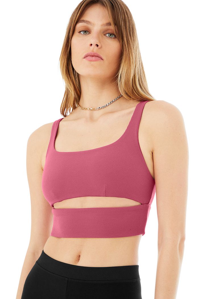 Purple Alo Yoga Slit Women's Bras | 27369NZCP