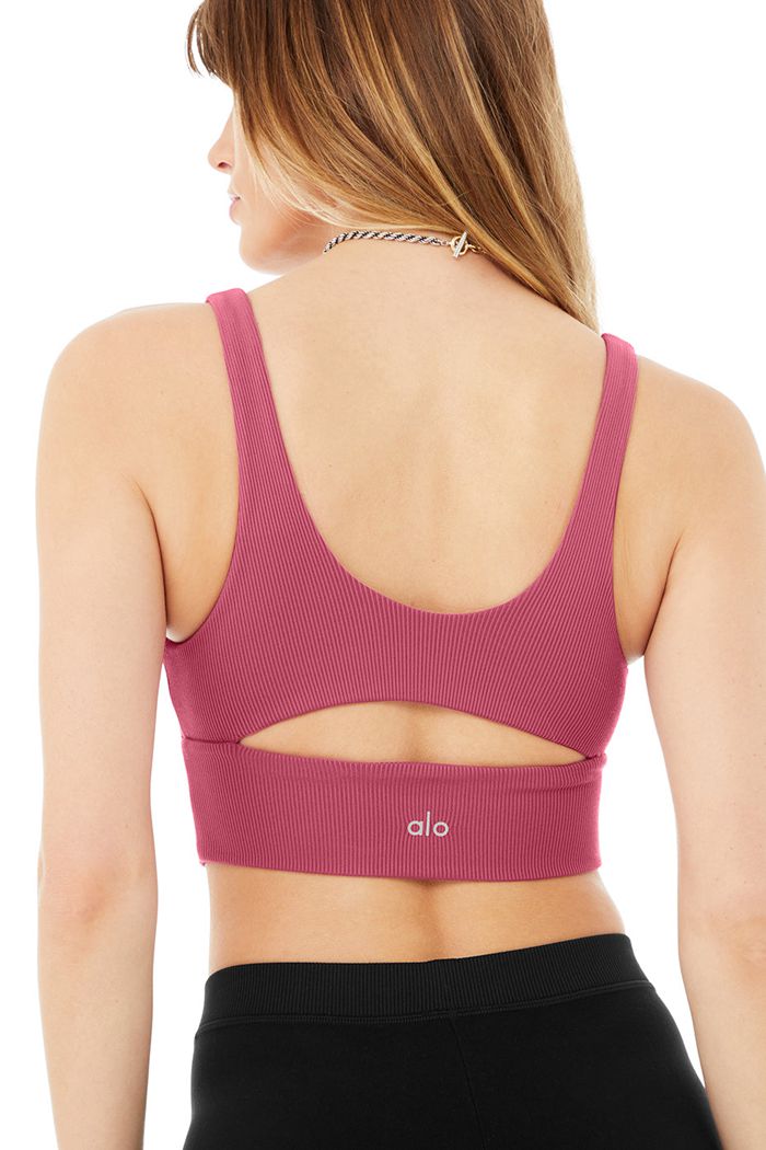 Purple Alo Yoga Slit Women's Bras | 27369NZCP