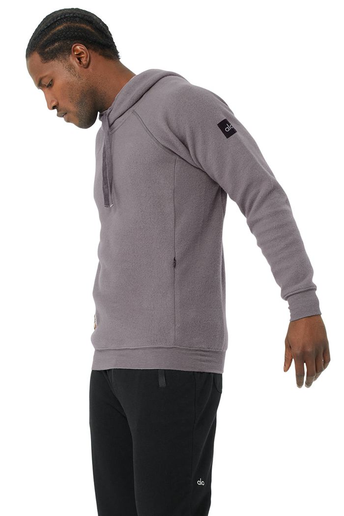 Purple Alo Yoga The Triumph Men's Hoodie | 01527XAMU