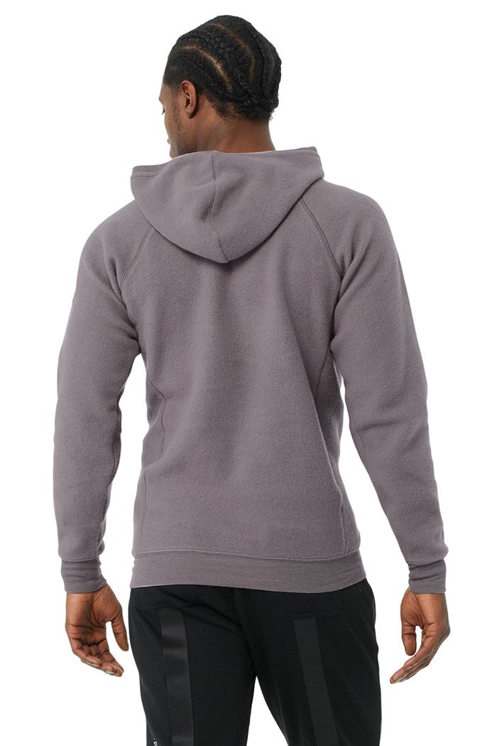 Purple Alo Yoga The Triumph Men's Hoodie | 01527XAMU