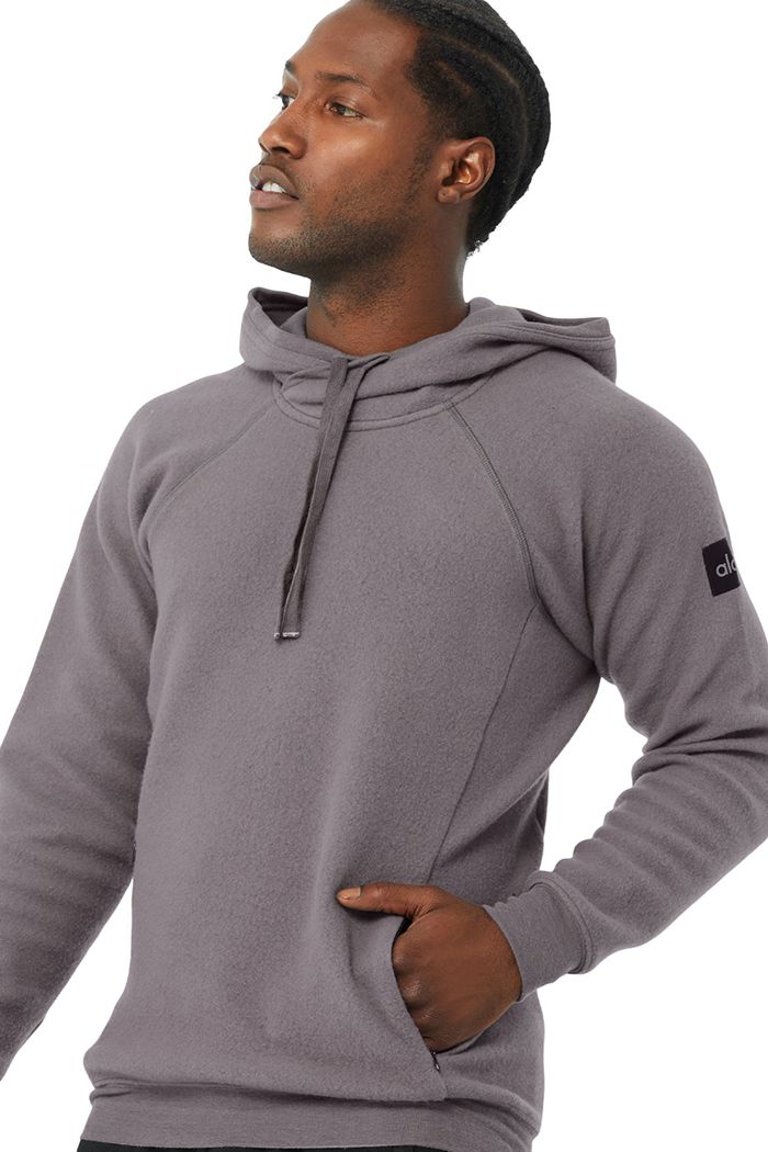 Purple Alo Yoga The Triumph Men's Hoodie | 01527XAMU