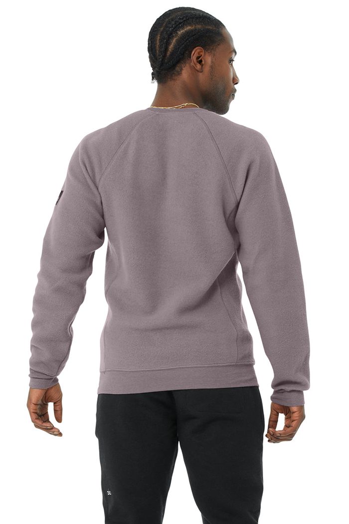 Purple Alo Yoga Triumph Crew Neck Sweatshirt Men's Long Sleeve | 49637SOKG