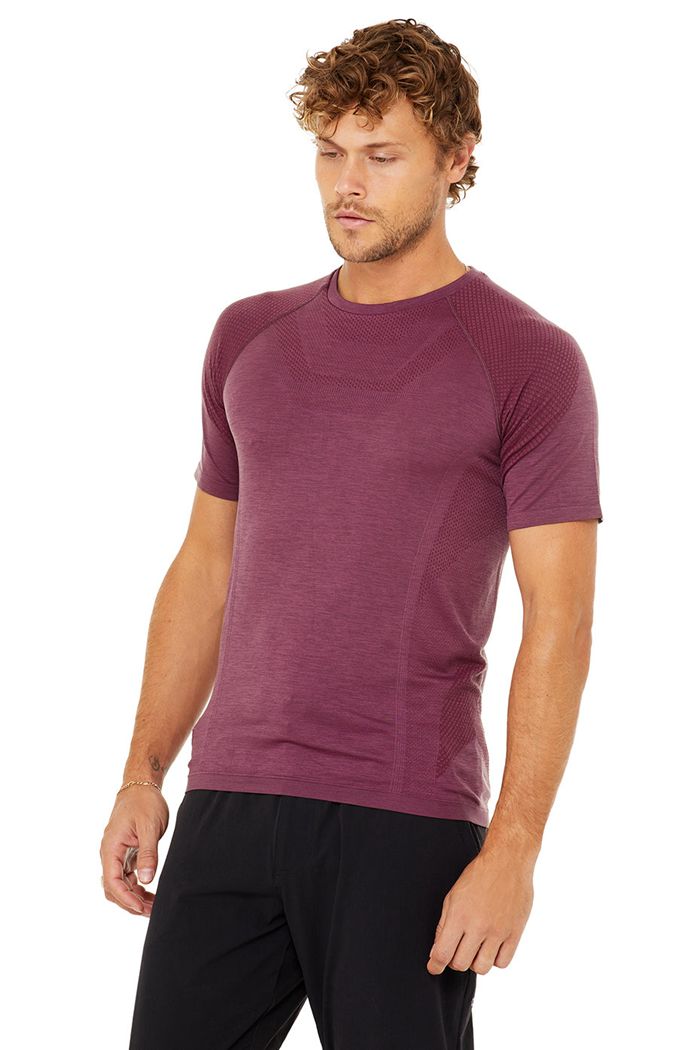 Red Alo Yoga Amplify Seamless Tee Men's Short Sleeve | 84951XJKO