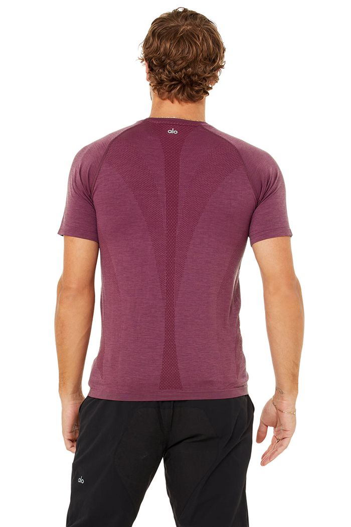 Red Alo Yoga Amplify Seamless Tee Men's Short Sleeve | 84951XJKO