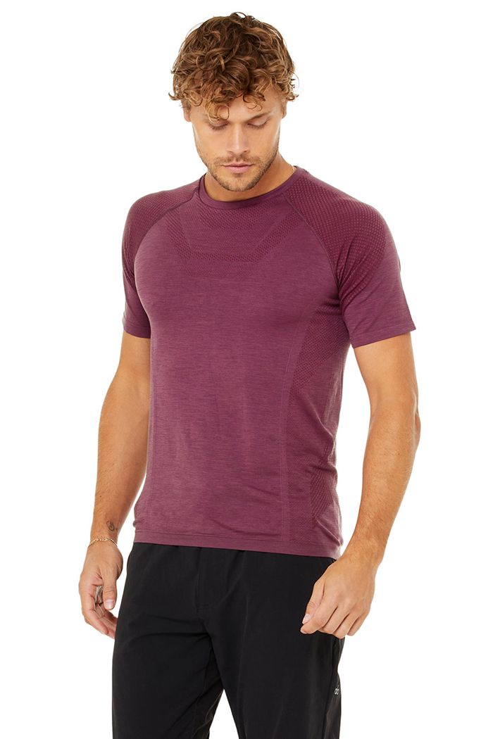 Red Alo Yoga Amplify Seamless Tee Men\'s Short Sleeve | 84951XJKO